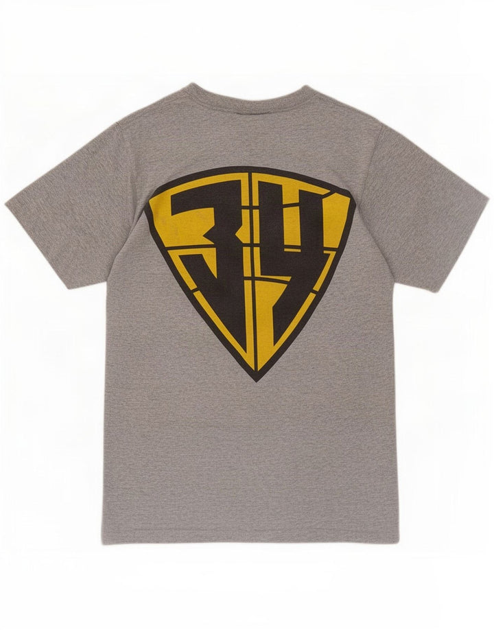 T-shirt grafica da uomo Reebok Top piccola grigia