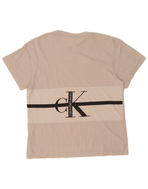 Calvin Klein Jeans T-shirt grafica da uomo Top Small Beige Colourblock Cotton