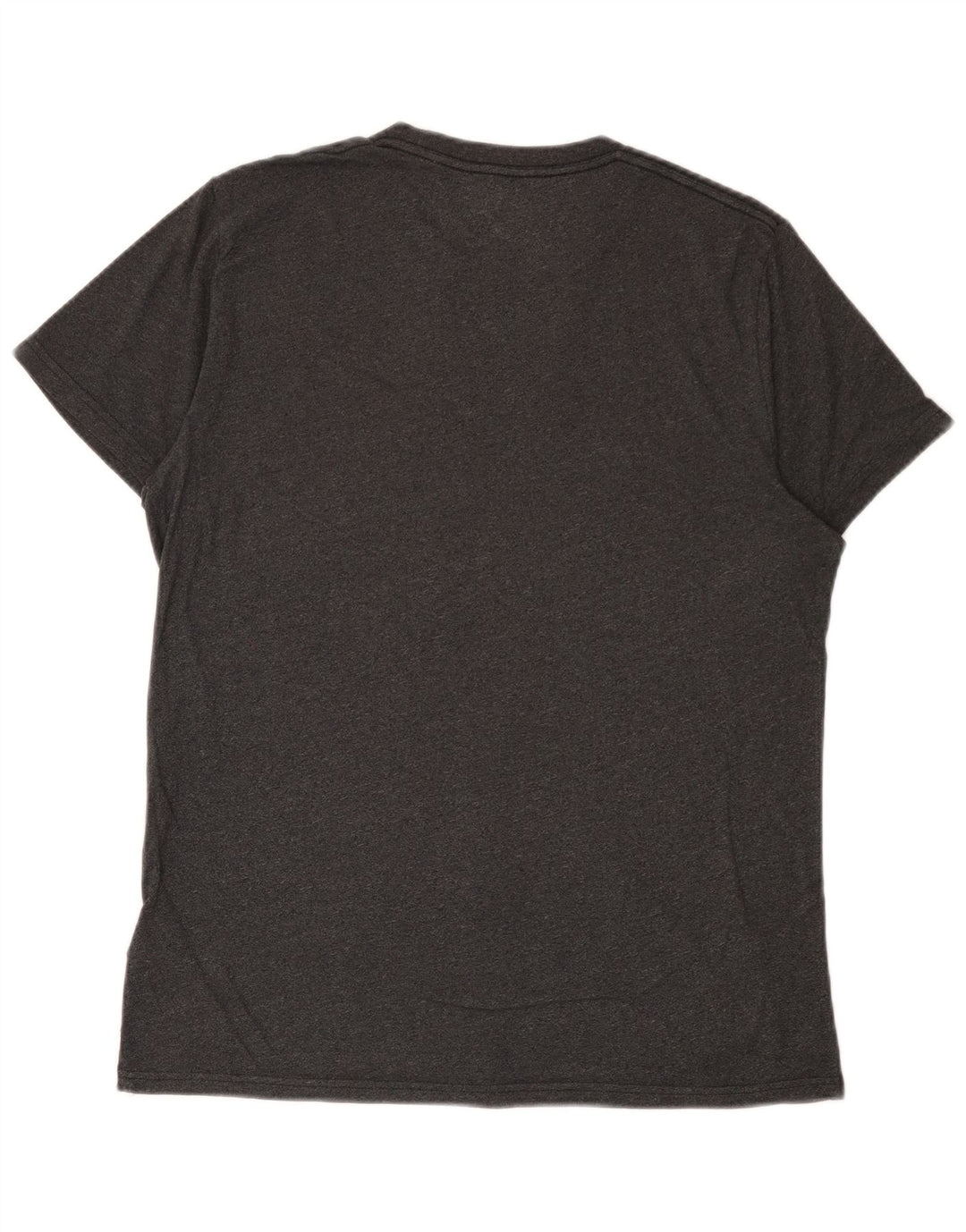 T-shirt Hollister da uomo in cotone grigio medio