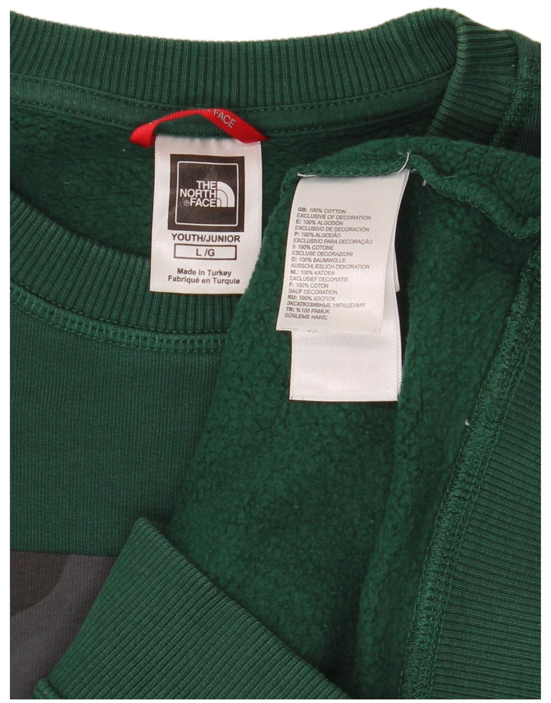 Felpa grafica per ragazzi THE NORTH FACE 11-12 anni grande verde