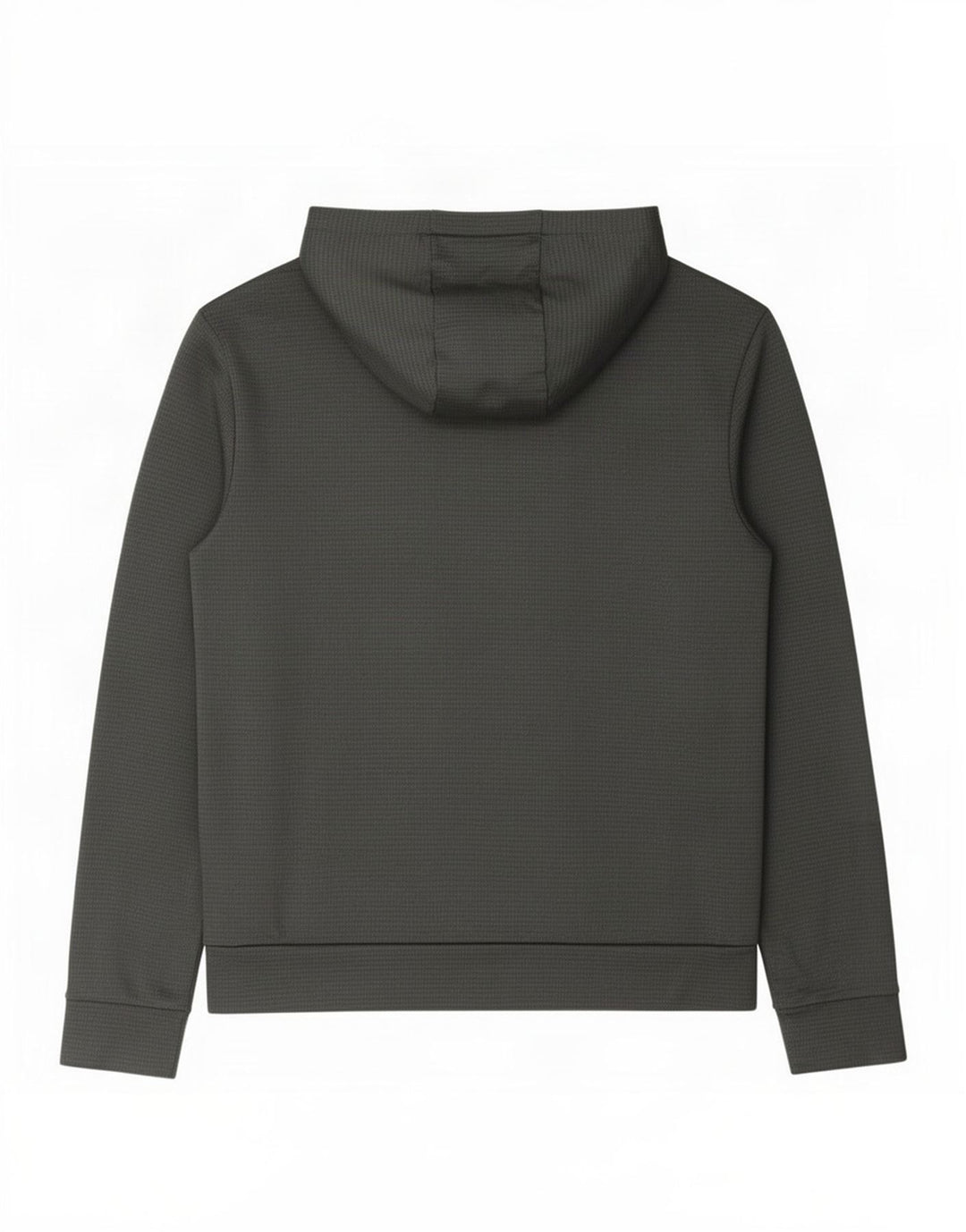 Felpa con cappuccio grafica da uomo The North Face grande poliestere grigio