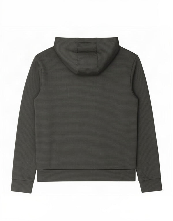 Felpa con cappuccio grafica da uomo The North Face grande poliestere grigio