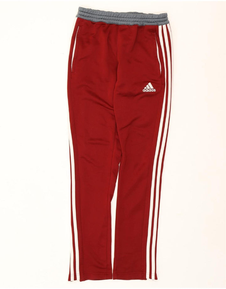 Pantaloni da tuta ADIDAS Climalite da uomo piccoli color bordeaux