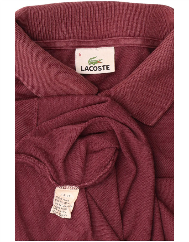 Polo da uomo LACOSTE taglia 5 grande in cotone marrone