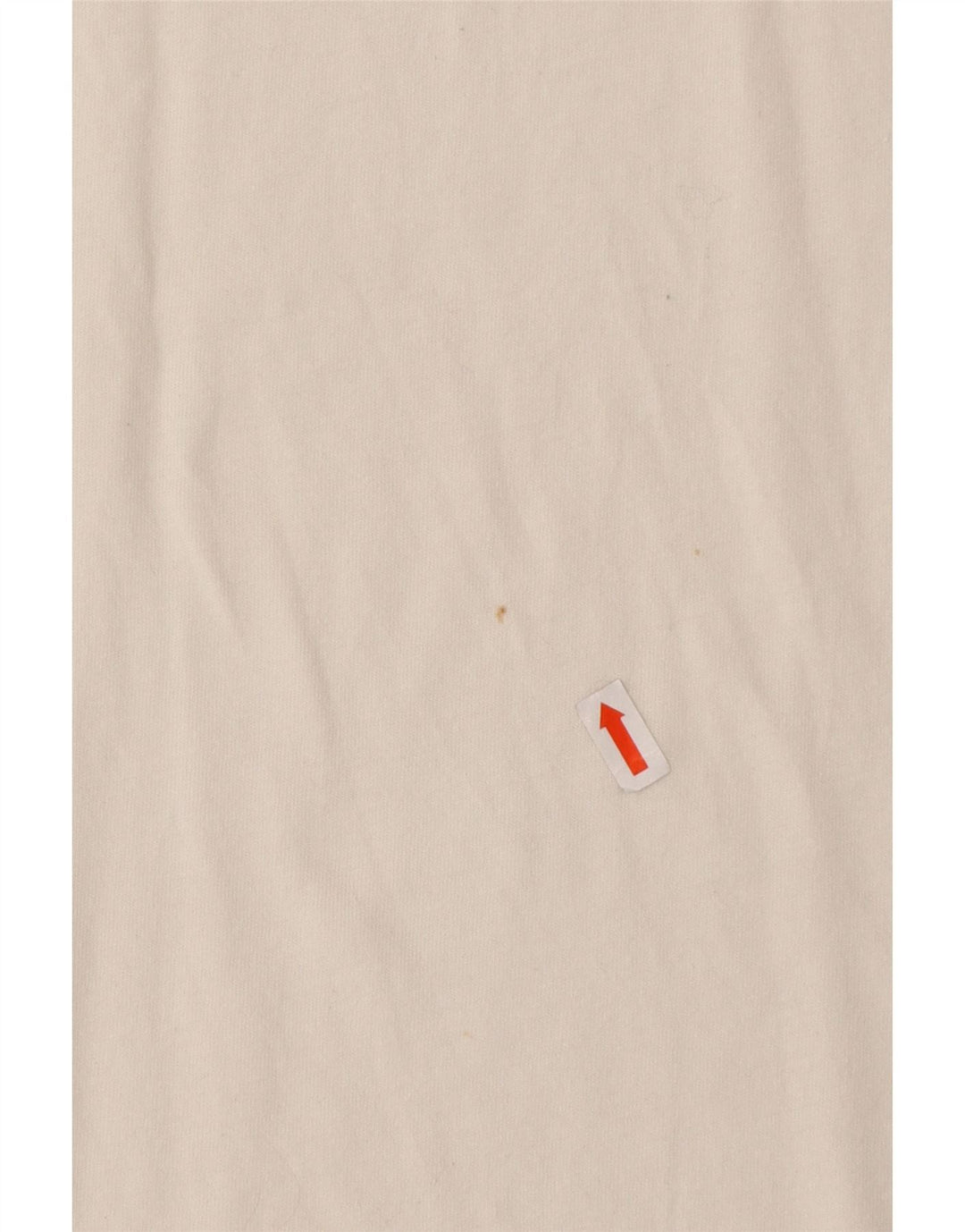 THE NORTH FACE T-shirt grafica da uomo grande in cotone bianco