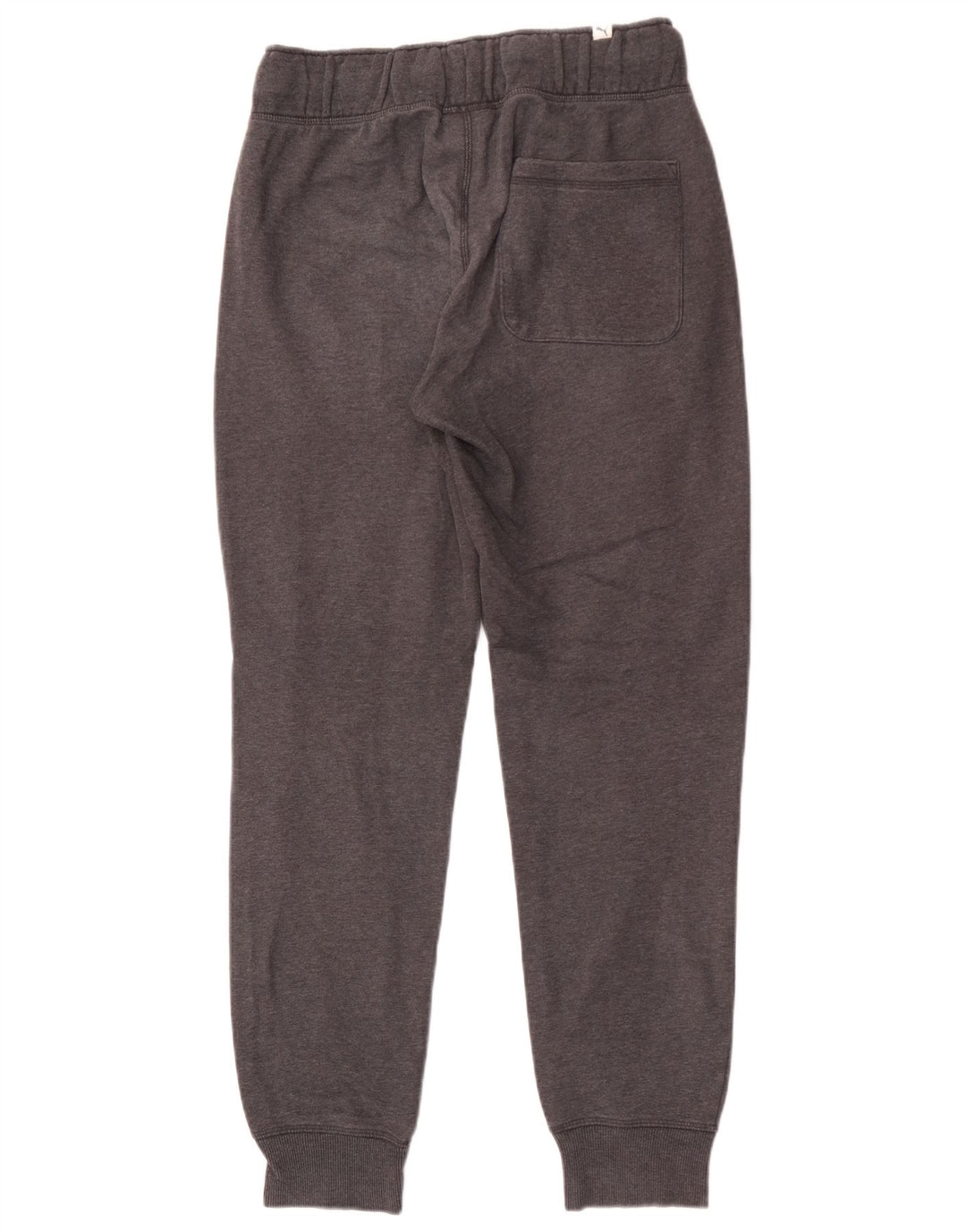 Pantaloni da tuta grafica da uomo Puma Joggers piccoli grigi