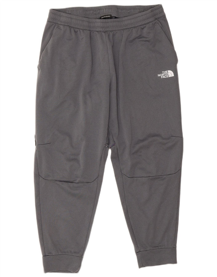 Pantaloni da tuta da uomo The North Face Joggers XL Poliestere grigio