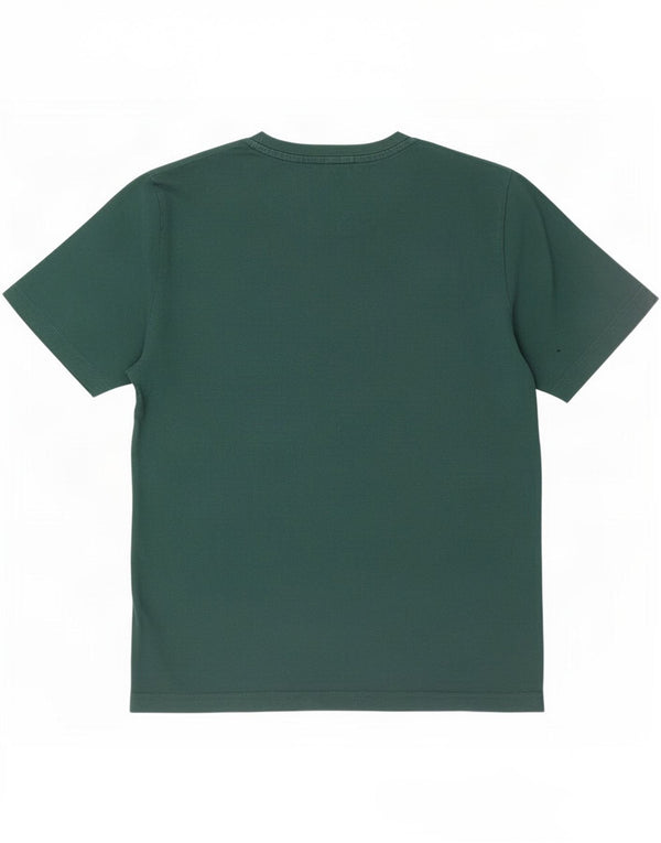 Calvin Klein Jeans T-shirt grafica da uomo Top Small Verde