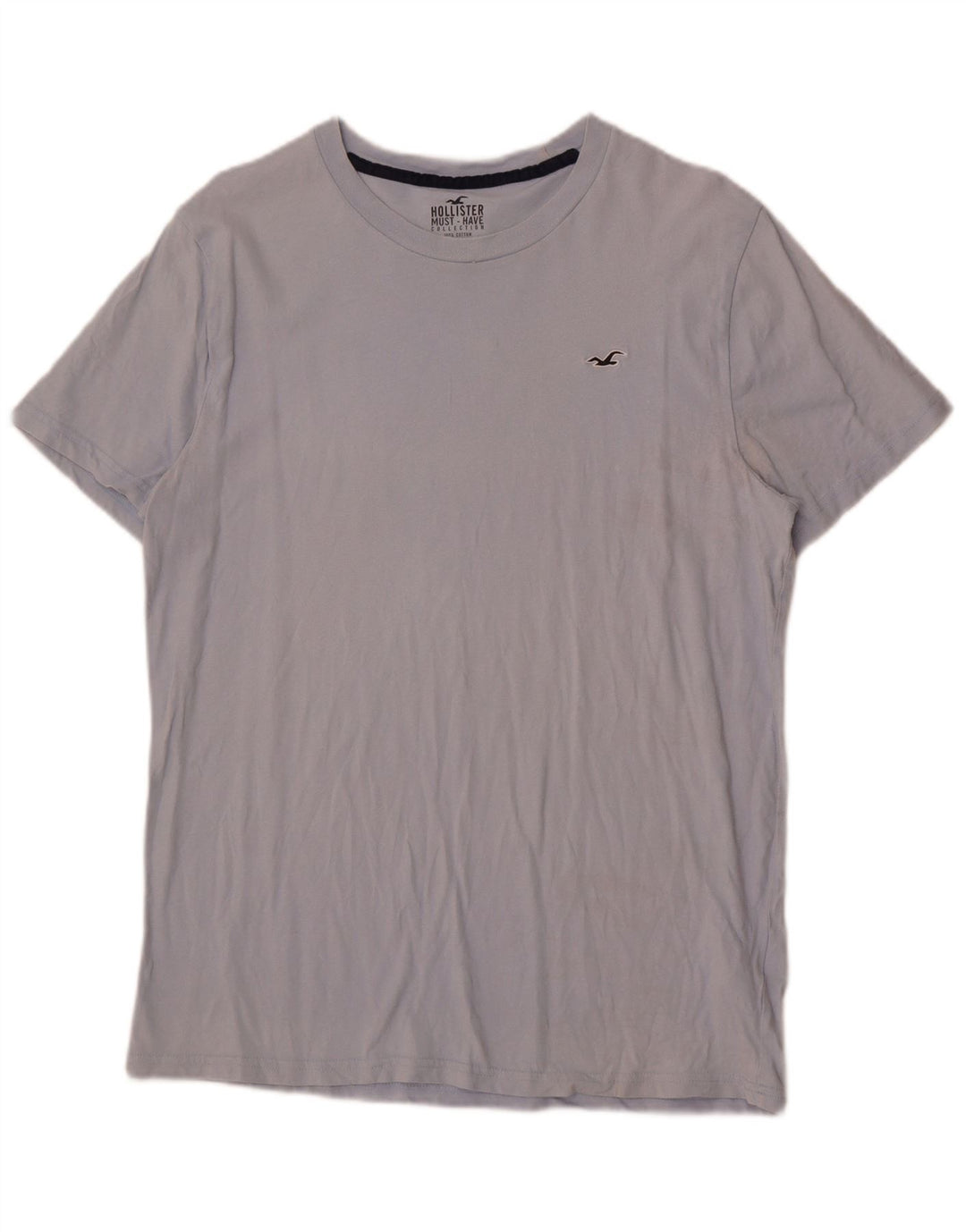 T-shirt Hollister da uomo grande in cotone blu