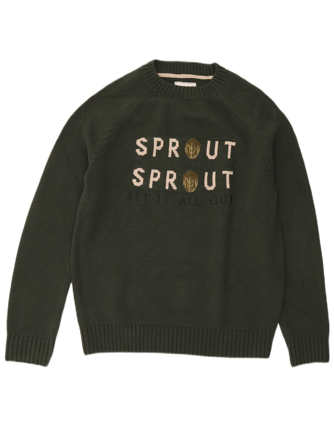 Joules Maglione girocollo grafico da uomo in acrilico verde medio