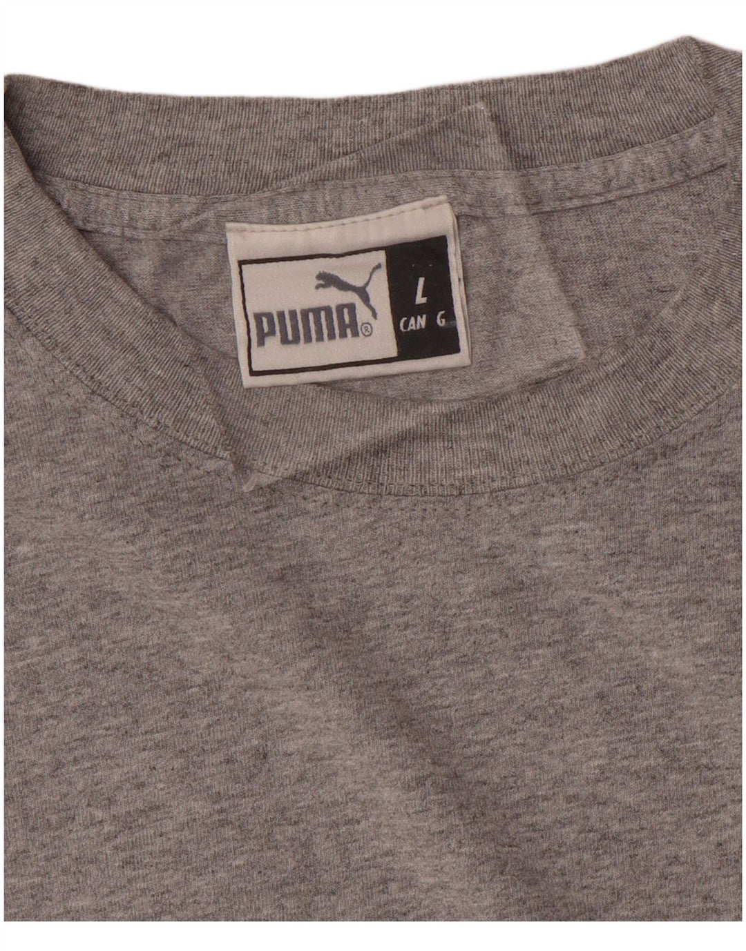 T-shirt grafica PUMA da uomo grande grigia