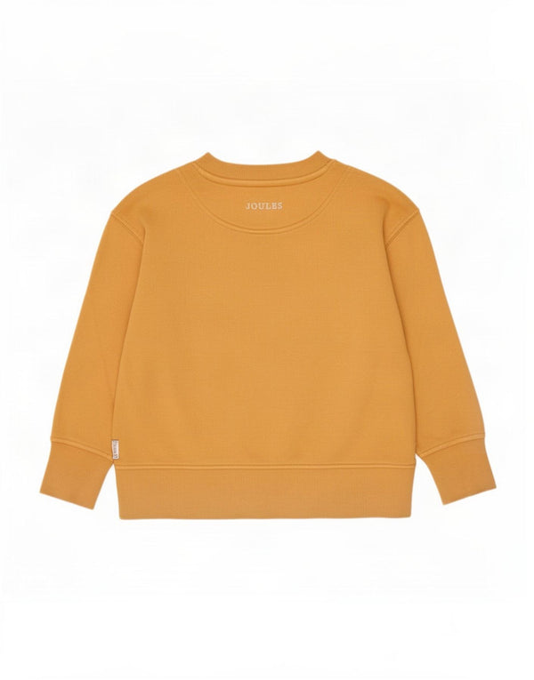Felpa grafica per ragazzi Joules, maglione 2-3 anni, cotone giallo