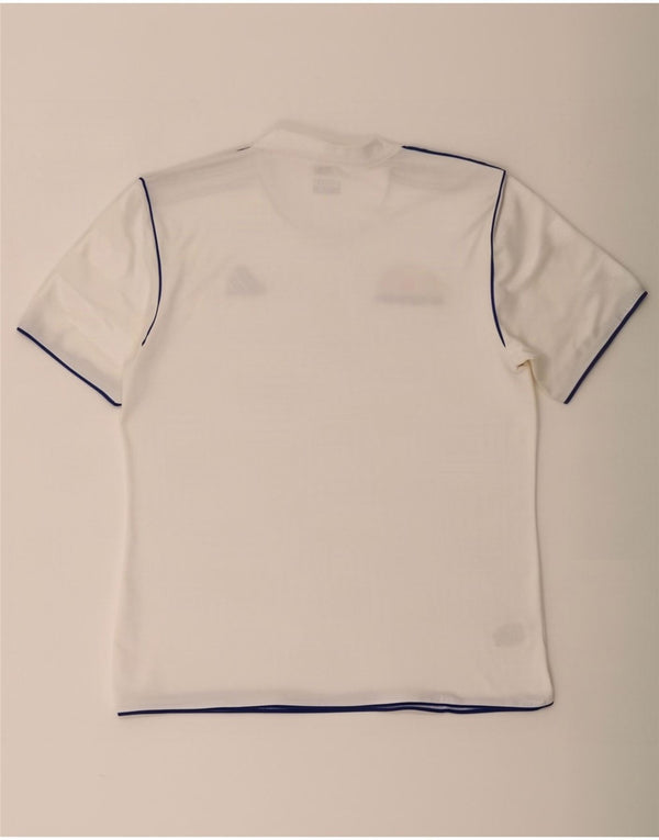 T-shirt Adidas Climalite da uomo Top poliestere gessato bianco medio