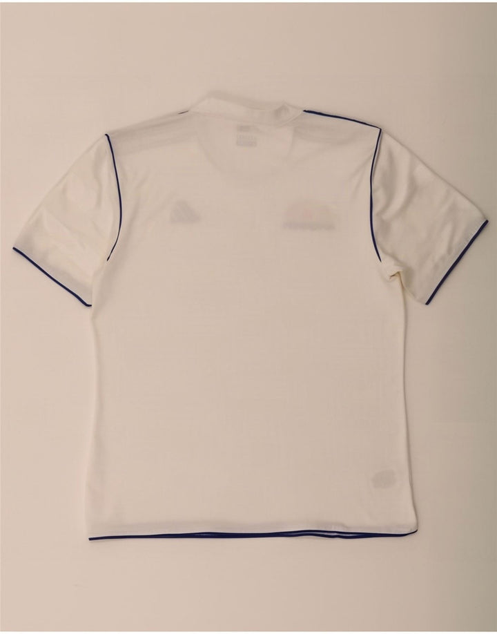 T-shirt Adidas Climalite da uomo Top poliestere gessato bianco medio