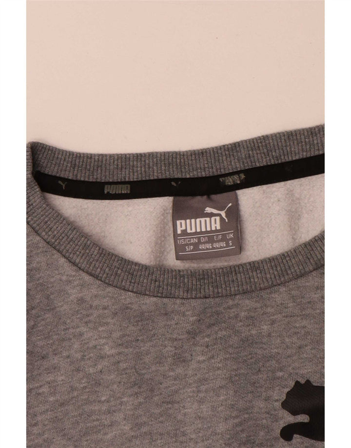 Felpa grafica da uomo Puma Maglione piccolo grigio