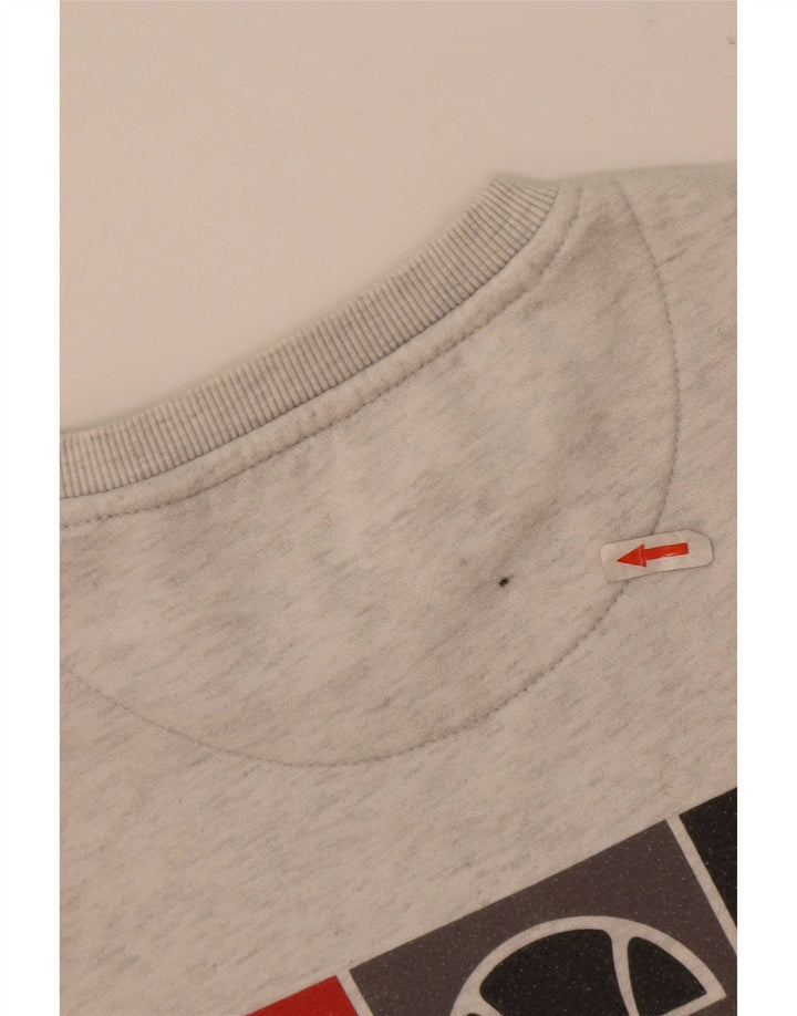 Felpa grafica da uomo Ellesse Maglione piccolo poliestere chiazzato grigio