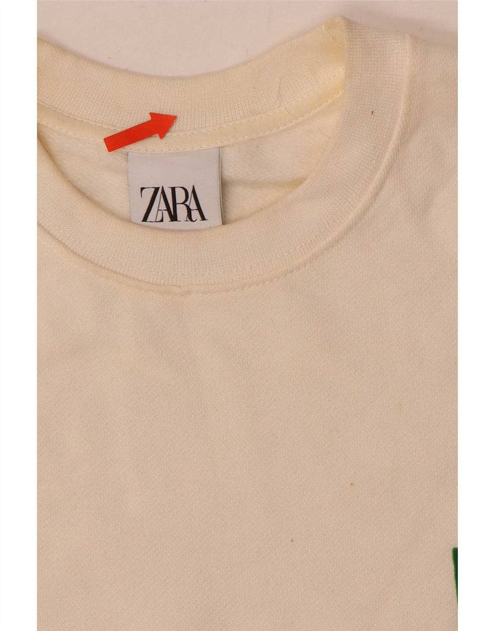 Felpa grafica da uomo Zara Maglione piccolo bianco sporco