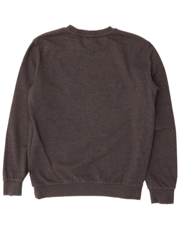 Felpa da uomo Puma Maglione piccolo in cotone grigio