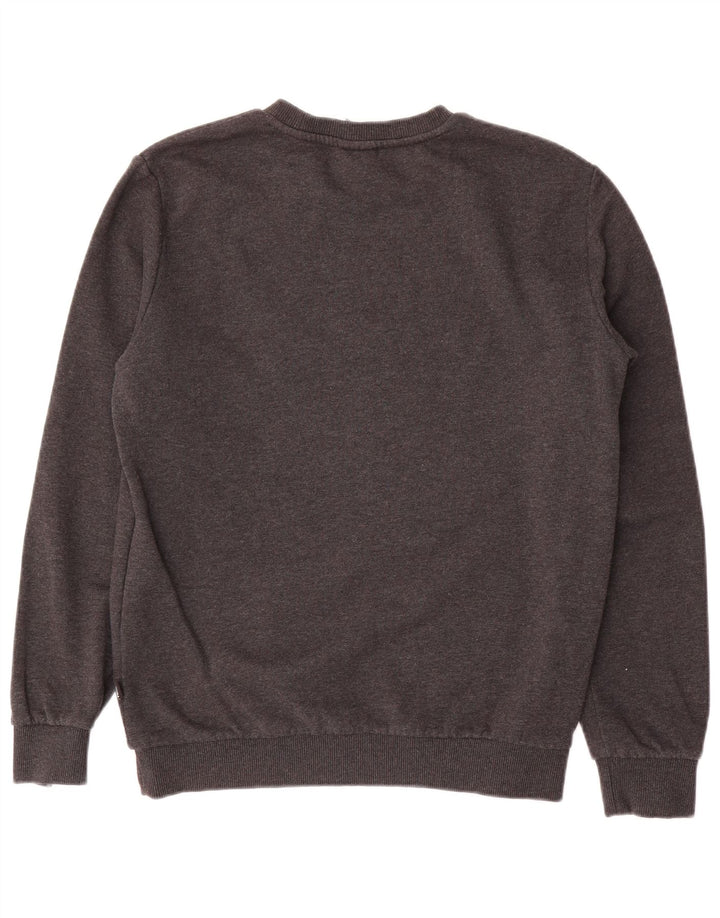 Felpa da uomo Puma Maglione piccolo in cotone grigio