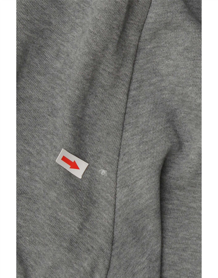 Pantaloni da tuta grafica da uomo Puma Joggers grigio medio color block