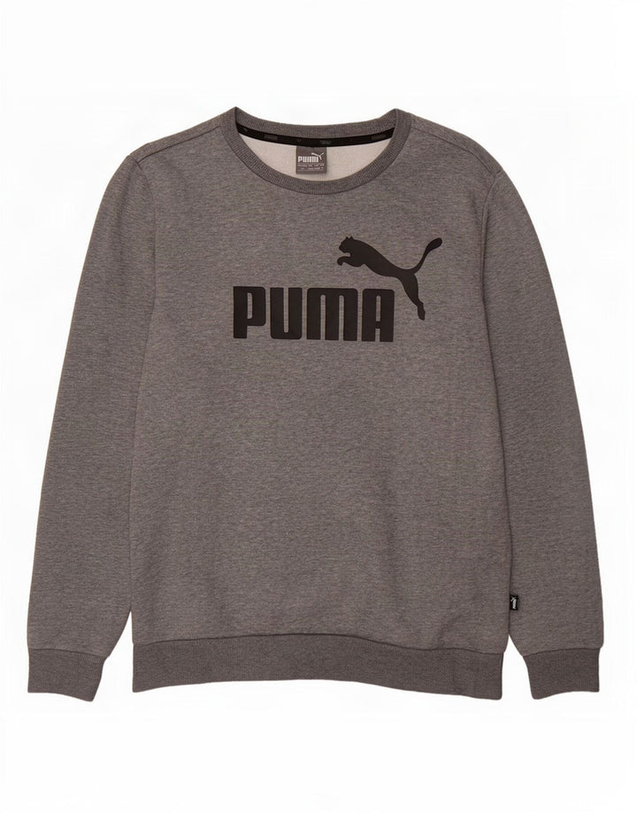 Felpa grafica da uomo Puma Maglione piccolo grigio