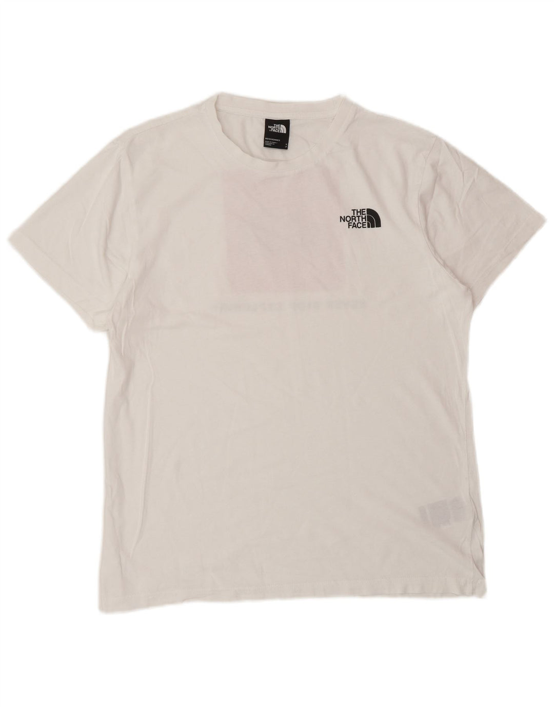 THE NORTH FACE T-shirt grafica da uomo piccola in cotone bianco