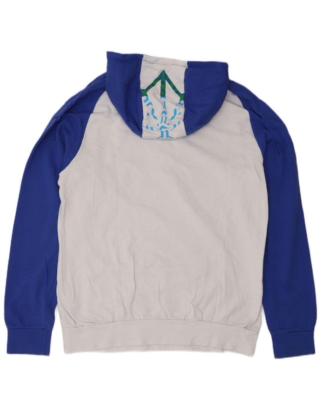Felpa con cappuccio grafica da uomo Arena, cotone color block bianco medio