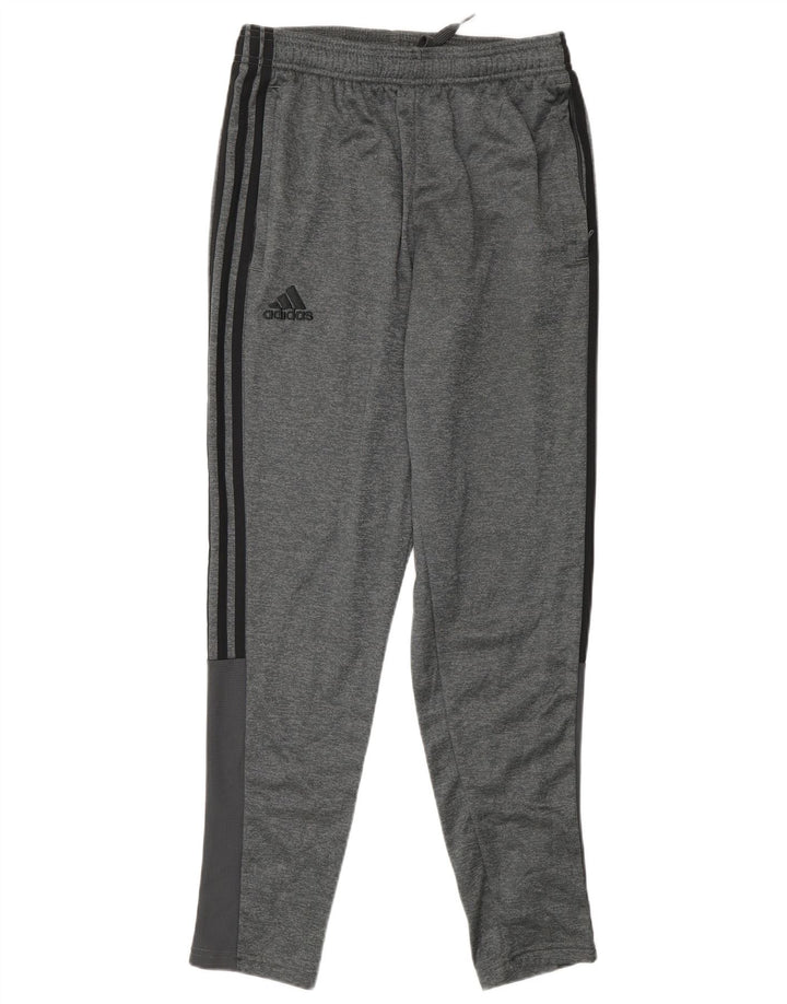 Pantaloni da tuta Adidas da uomo piccoli in poliestere grigio