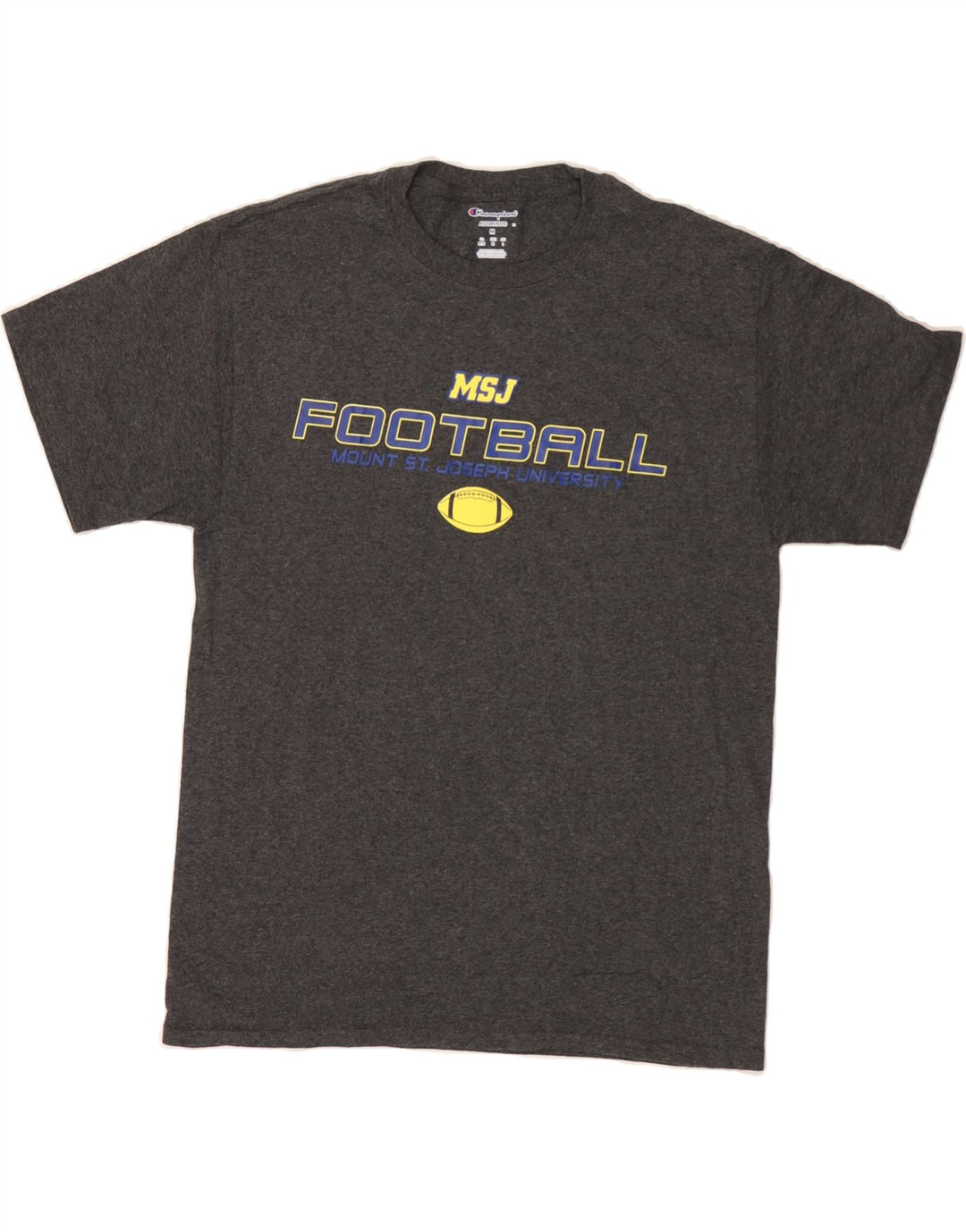 CHAMPION Mens Graphic T-Shirt Top Medium Grey Vintage Champion and Second-Hand Champion from Messina Hembry 