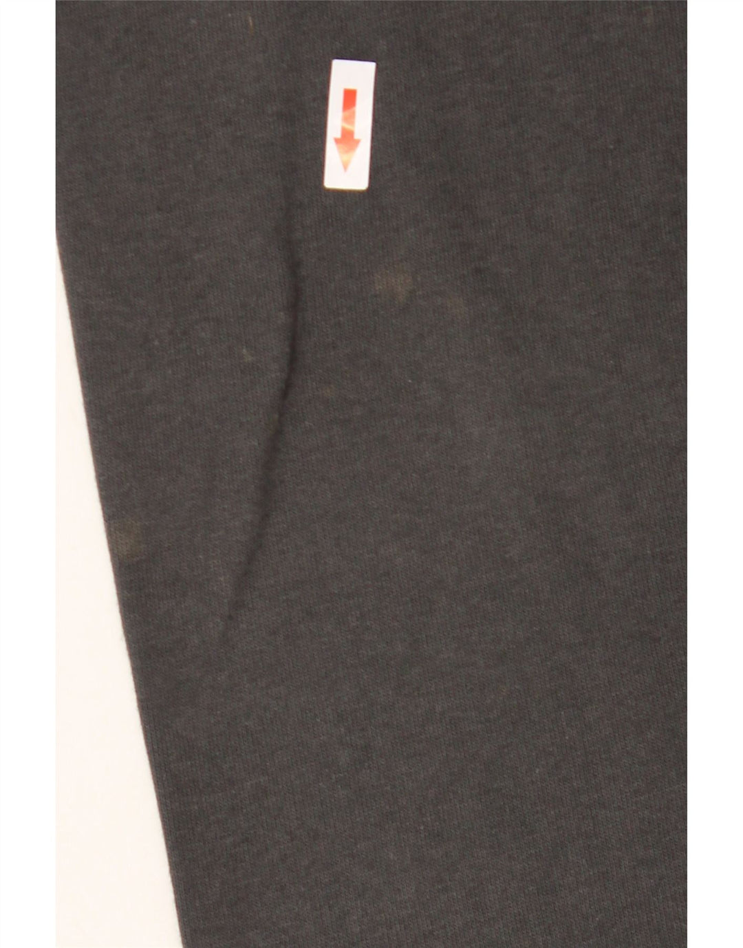 Maglione con cappuccio e zip da uomo Champion di grandi dimensioni in cotone grigio