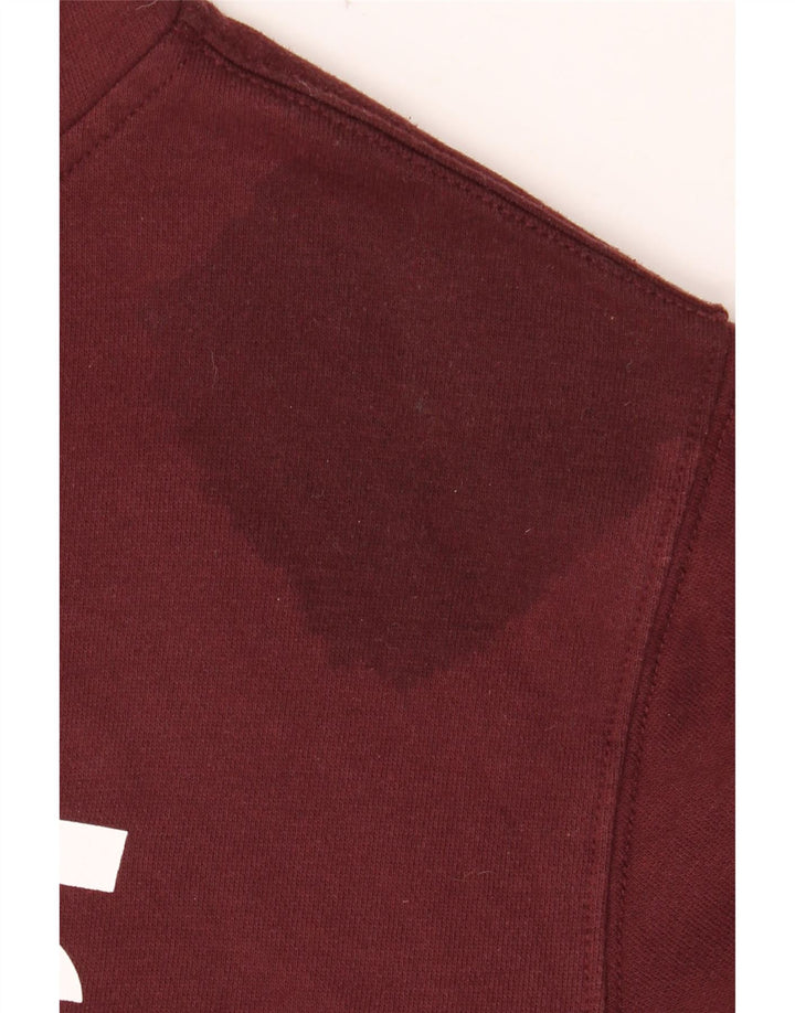 Felpa con cappuccio grafica da uomo VANS piccola in cotone bordeaux