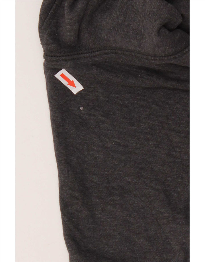 Felpa con cappuccio grafica da uomo Puma Grigio medio