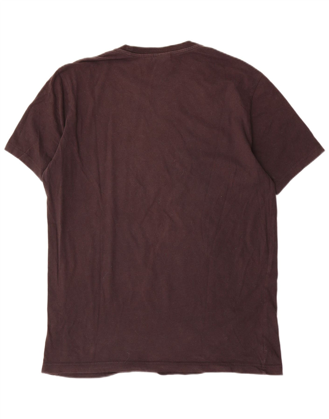 T-shirt grafica da uomo Champion Top grande marrone