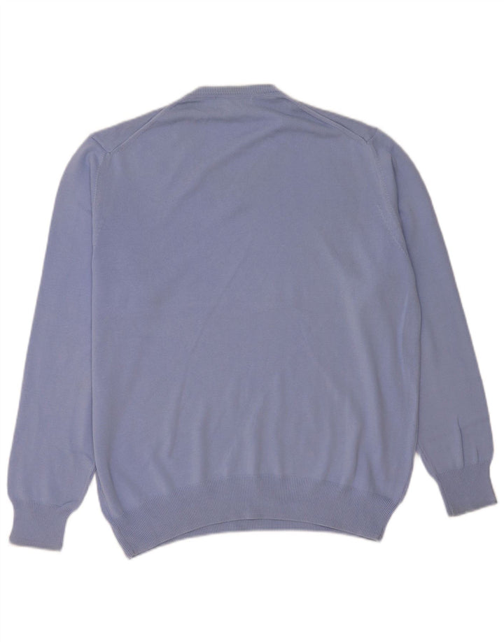 Maglione Zara da uomo con scollo a V grande blu