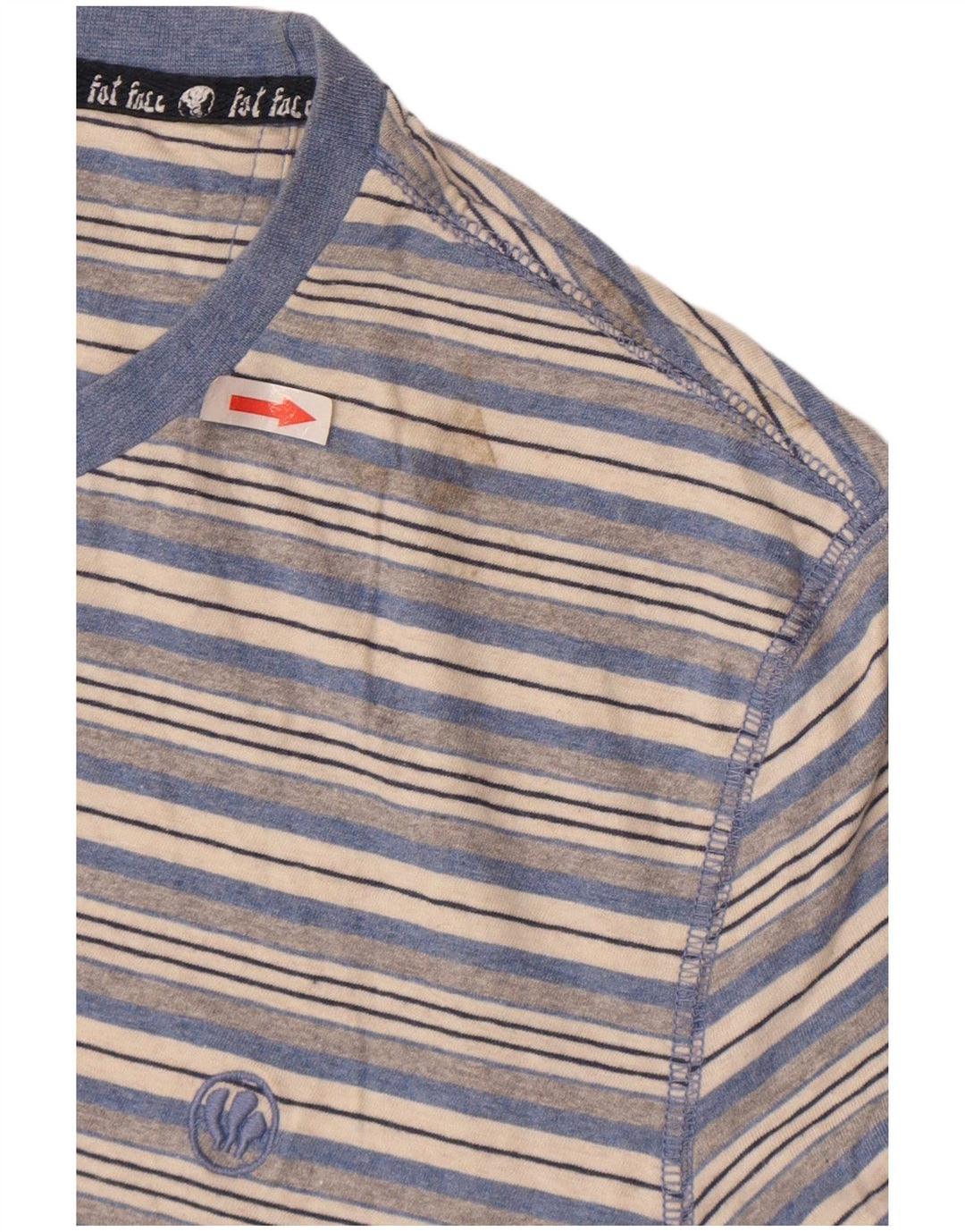 T-shirt da uomo Fat Face Top in cotone a righe blu grandi