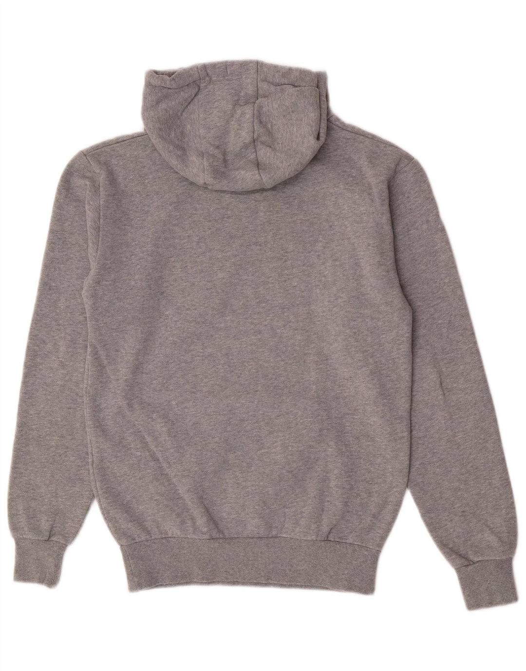 Felpa con cappuccio da uomo con vestibilità regolare grafica Ellesse, piccola, in cotone grigio