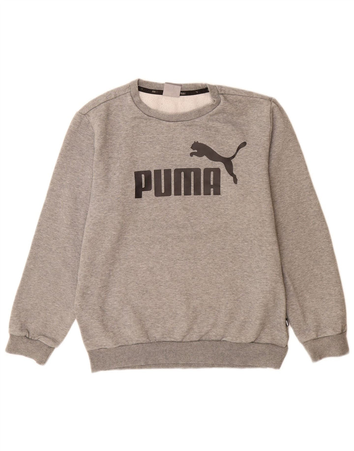 Felpa grafica da uomo Puma Maglione piccolo cotone chiazzato grigio