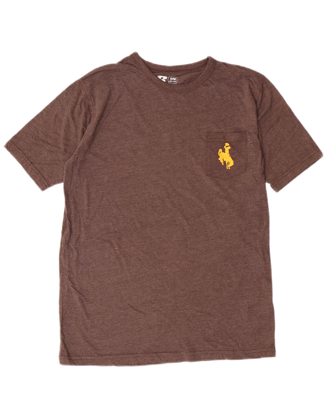 T-shirt grafica da uomo Russell Athletic Top in cotone marrone medio