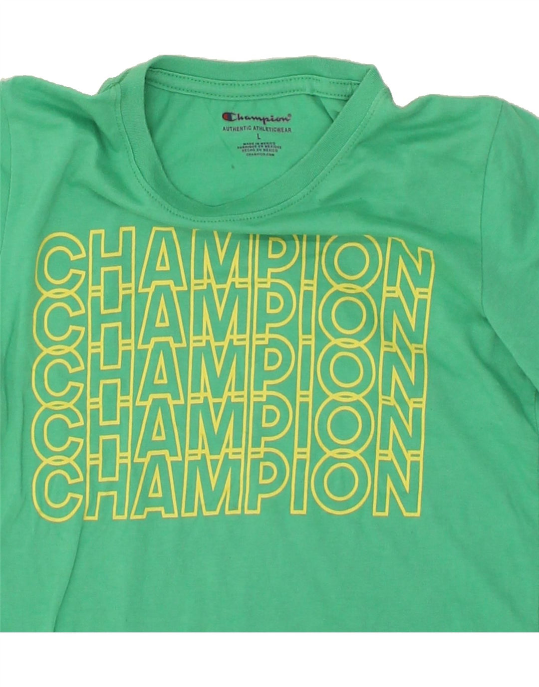 CHAMPION Boys Graphic T-Shirt Top 11-12 Years Large Green Vintage Champion and Second-Hand Champion from Messina Hembry 