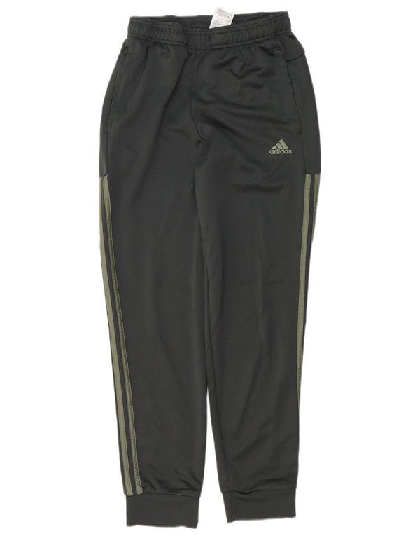 Pantaloni da tuta da uomo Adidas Joggers piccoli in poliestere kaki