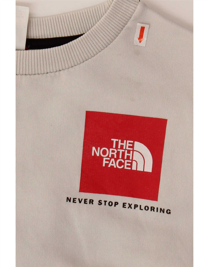Felpa da uomo The North Face Maglione piccolo cotone grigio