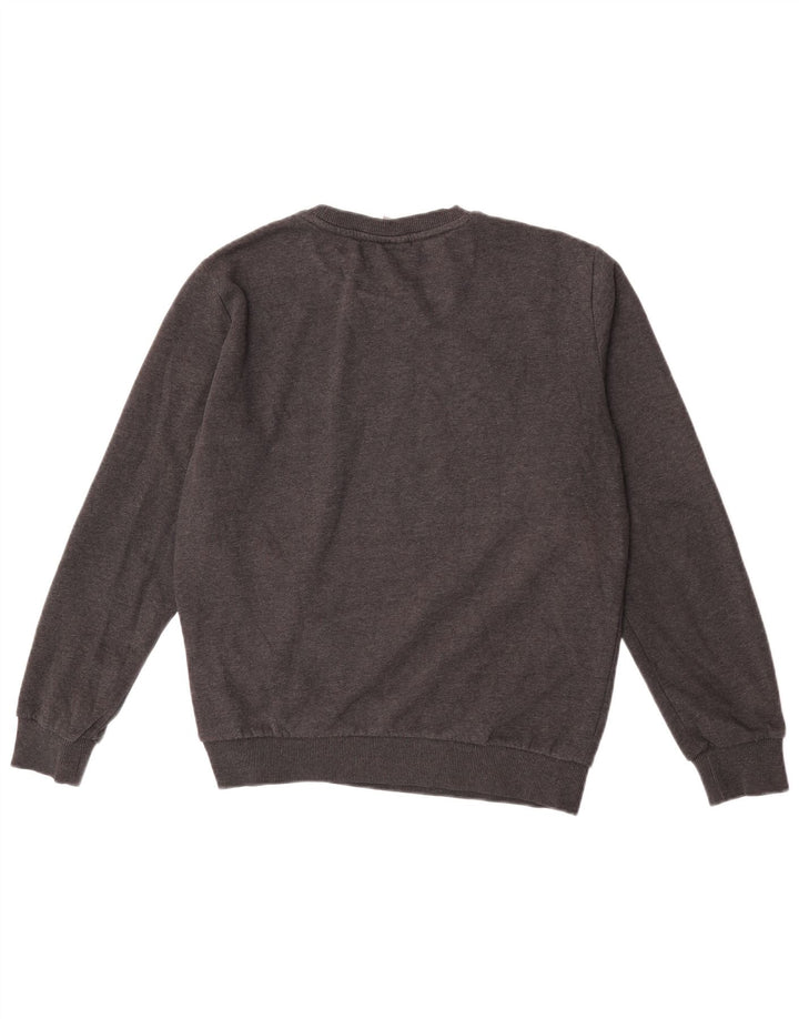 Felpa da uomo Puma Maglione piccolo in cotone grigio