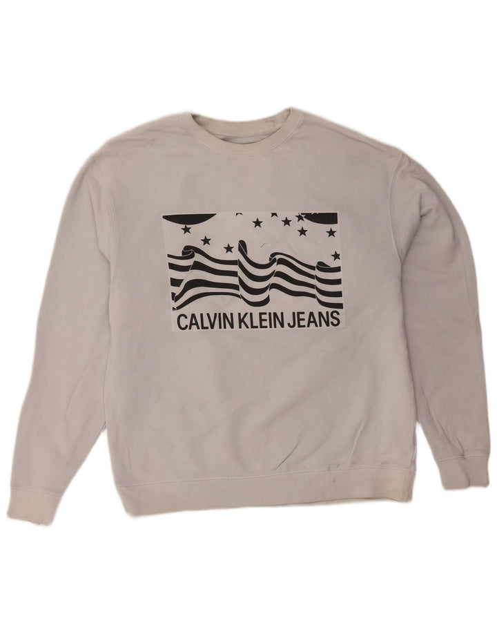 CALVIN KLEIN JEANS Felpa con grafica da uomo Maglione piccolo in cotone grigio