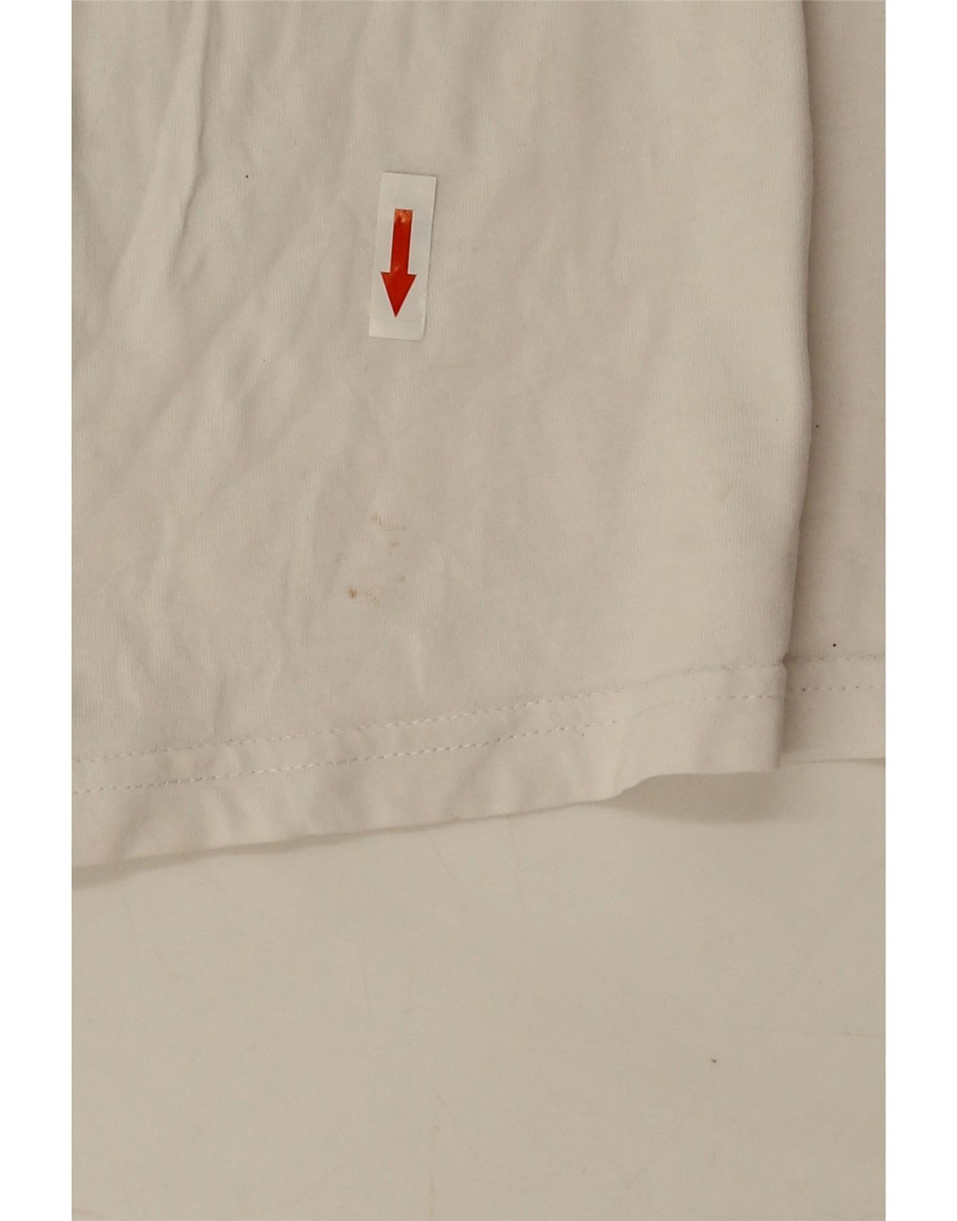 T-shirt grafica da uomo con vestibilità classica Vans, taglia grande, in cotone bianco