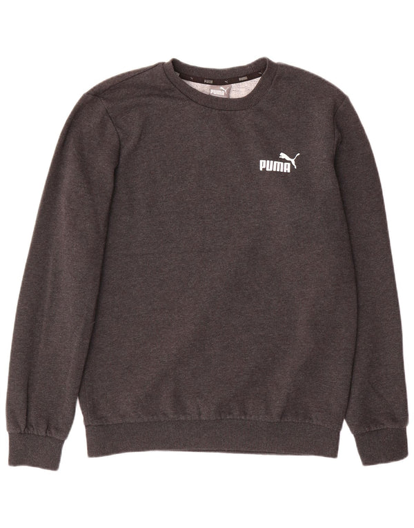 Felpa da uomo Puma Maglione piccolo in cotone grigio