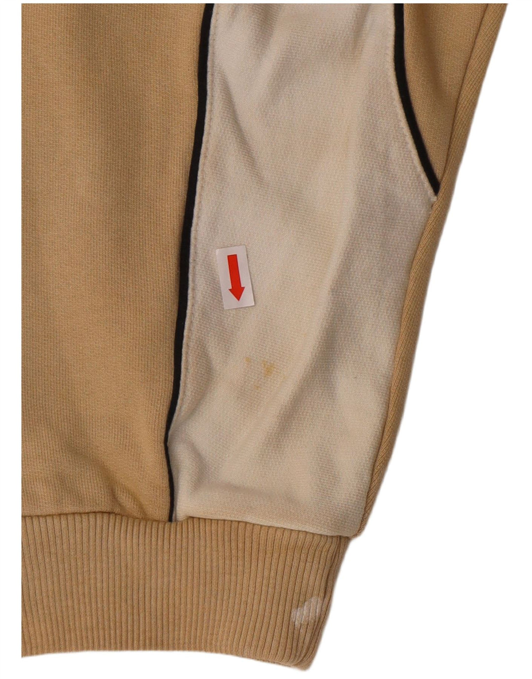 Felpa grafica da uomo IGUANA Maglione XL Cotone beige