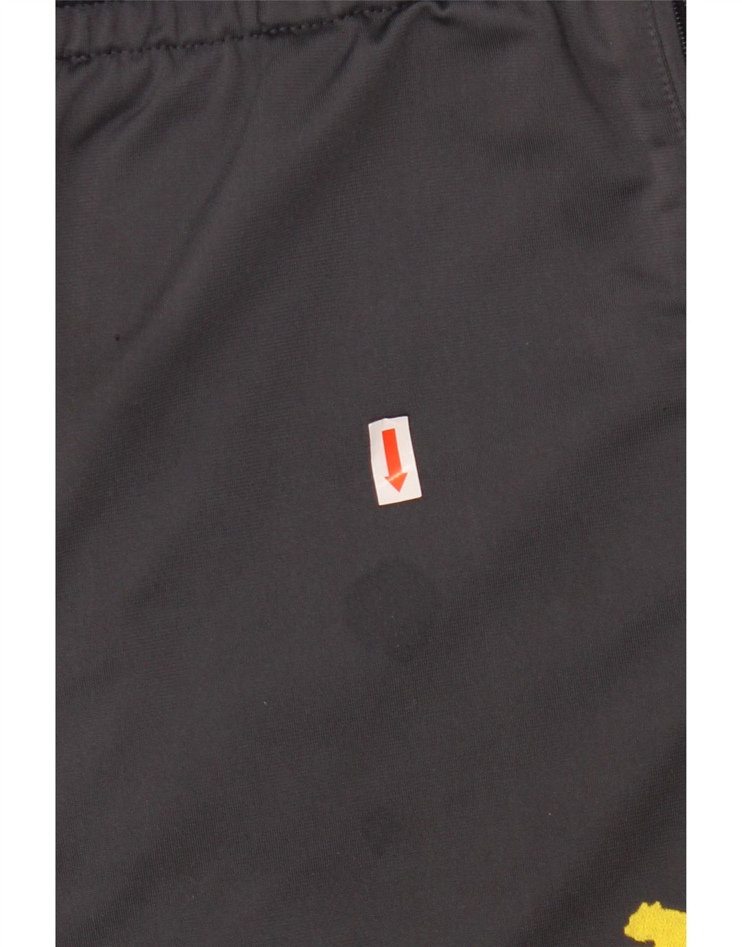 Pantaloni da tuta PUMA da uomo BVB Dortmund XL grigio color block