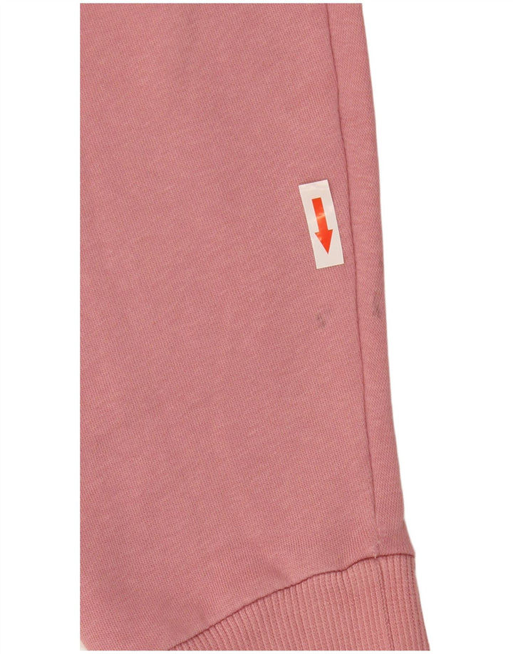Felpa con cappuccio grafica da uomo Puma rosa medio