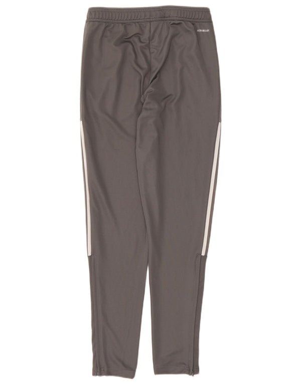 Pantaloni da tuta Adidas Aeroready da uomo piccoli in poliestere grigio