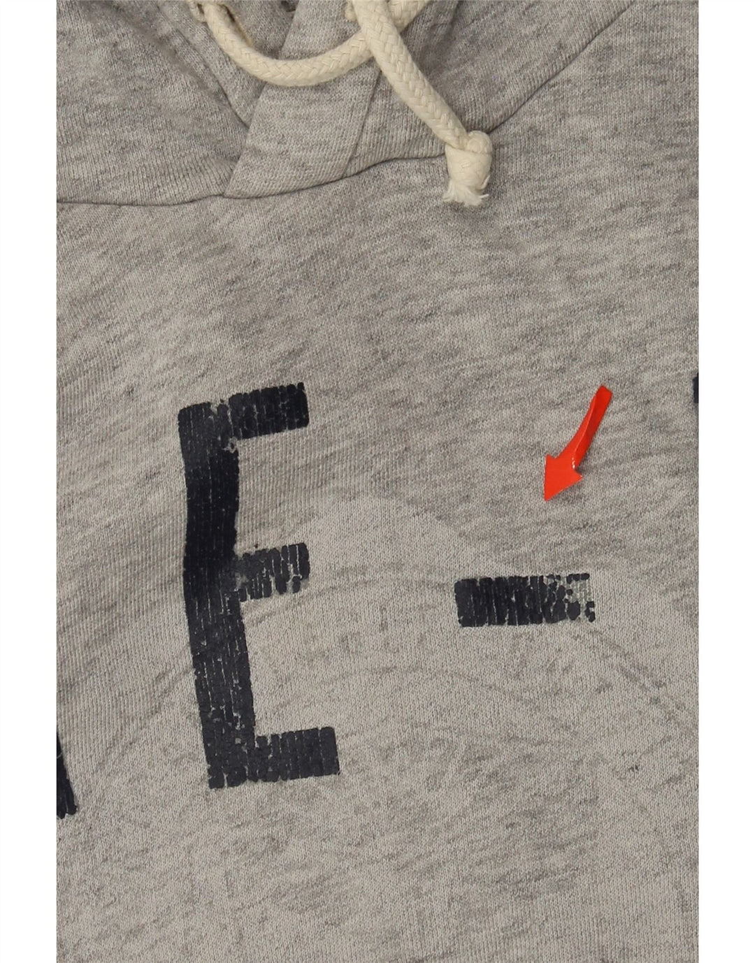 Maglione con cappuccio grafico da uomo American Eagle in cotone grigio medio